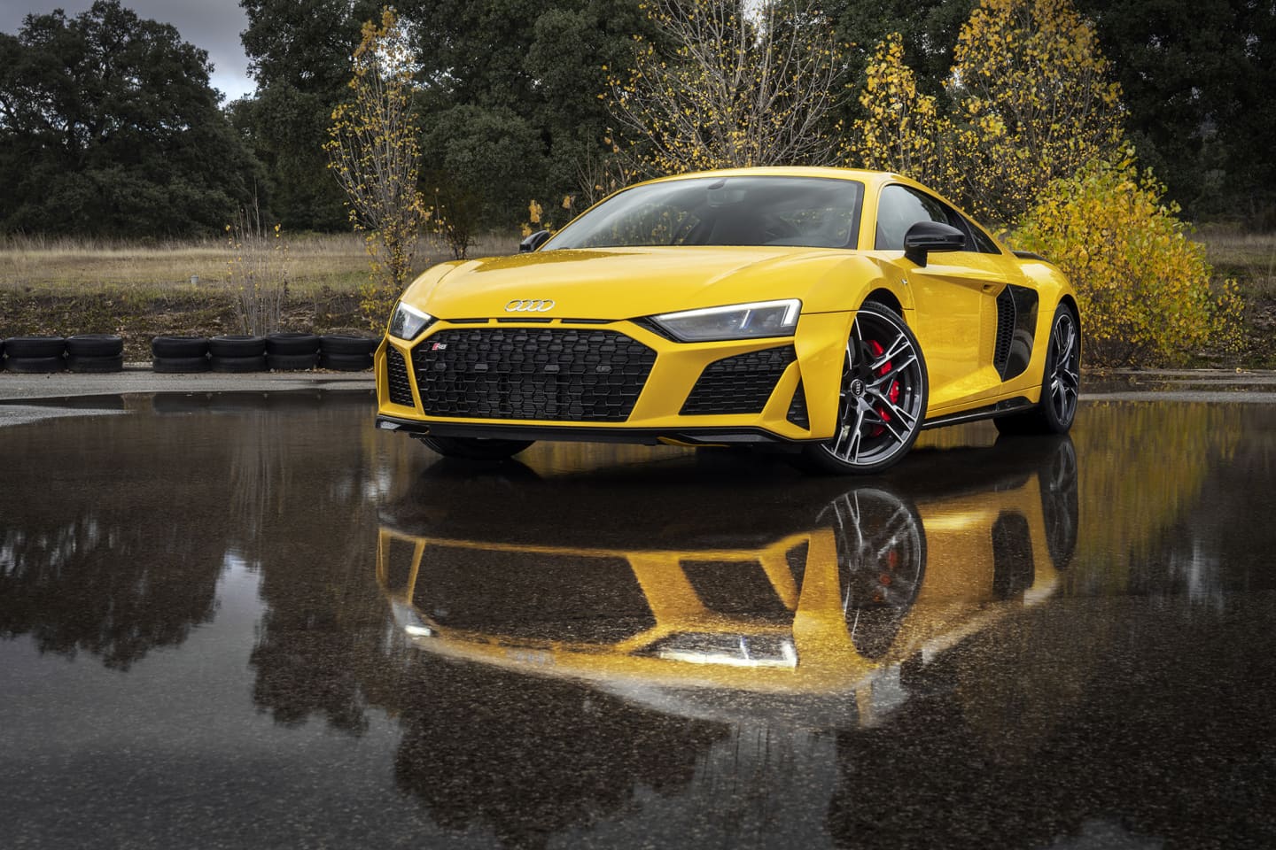 Audi R8 V10 Performance